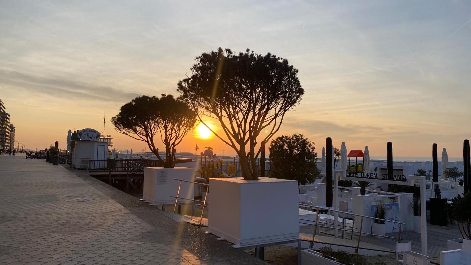 Orfeo Knokke-Le-Zoute